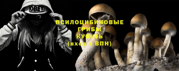 PSILOCYBIN Арсеньев