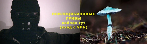 PSILOCYBIN Арсеньев