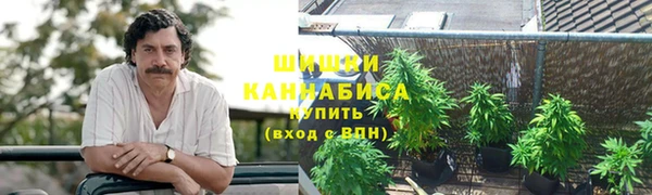 PSILOCYBIN Арсеньев