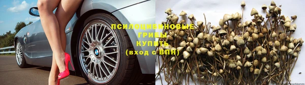 PSILOCYBIN Арсеньев