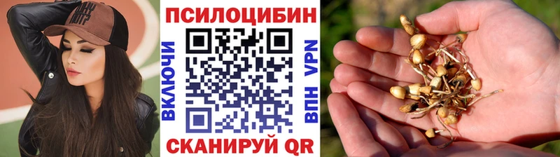 сколько стоит  Руза  Галлюциногенные грибы Magic Shrooms 